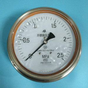 Y-153B-FZ不銹鋼耐震壓力表